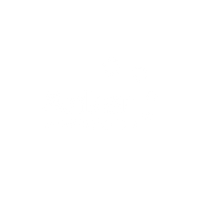 Ankerinnovation